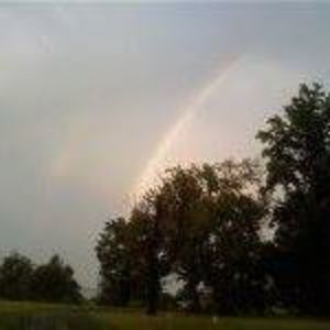 Meet your Posher, Bridgette